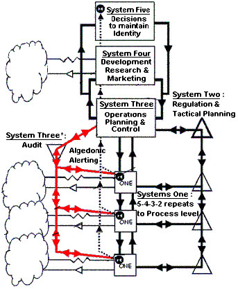 Viable System Model